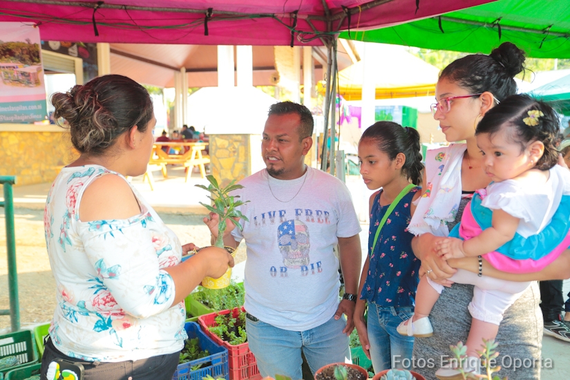 FERIA1